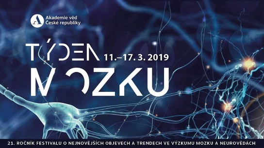 tyden mozku