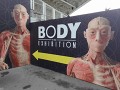 Body The Exhibition – výstava, která Ti změní život…