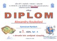 Diplom Alexandra Koukola