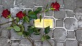 Stolpersteine II