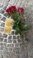 Stolpersteine II