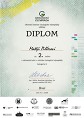 Diplom M. Pillera z OK GeO 2018 