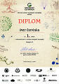 Diplom P. Červinky z OK GeO 2017