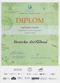 KK GeO 2024 - Diplom V. Košťálové