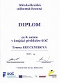 KK SOČ 2019 - Diplom Terezy Brucknerové