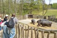 ZOO Dvůr Králové